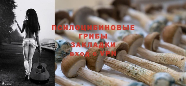 мяу мяу мука Белокуриха