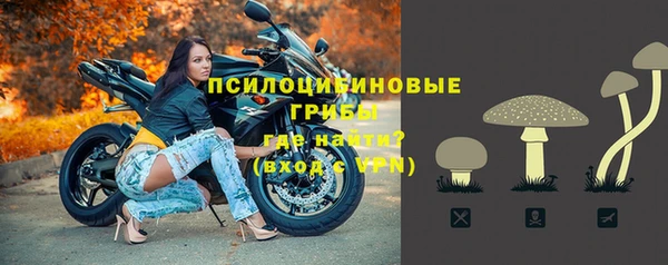 мяу мяу мука Белокуриха