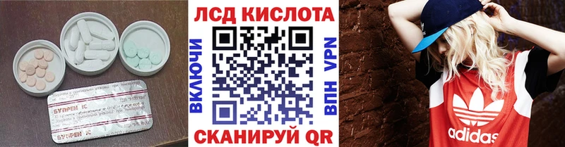 купить закладку Богданович LSD-25 экстази кислота