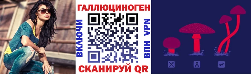 что такое наркотик  Богданович  блэк спрут маркетплейс  Псилоцибиновые грибы ЛСД 